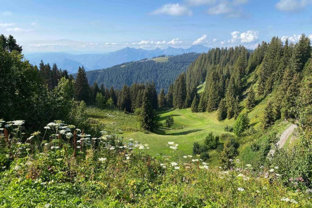 Vue Panoramique Sur Les Montagnes Plein Sud - T2 Skis Aux Pieds, Piscine & Spa Флен Экстерьер фото